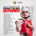 EL TAEKWONDO EL MEJOR MÉTODO