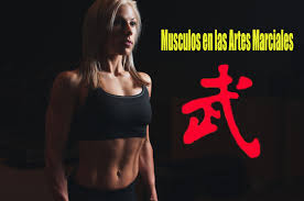 musculos fuertes en las artes marciales