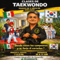 TAEKWONDO PROMOCION